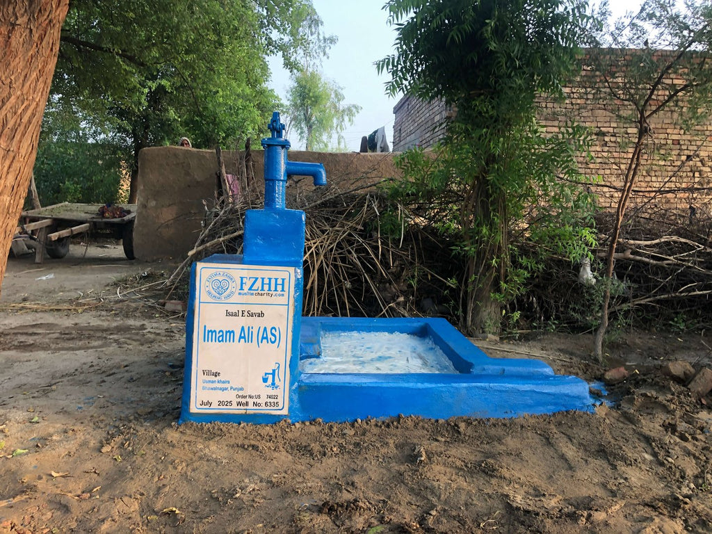 Imam Ali (as) - Order no. US 74022 - Well no. 6335