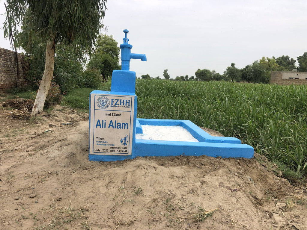 Ali Alam - Order no. US 74282 - Well no. 6344