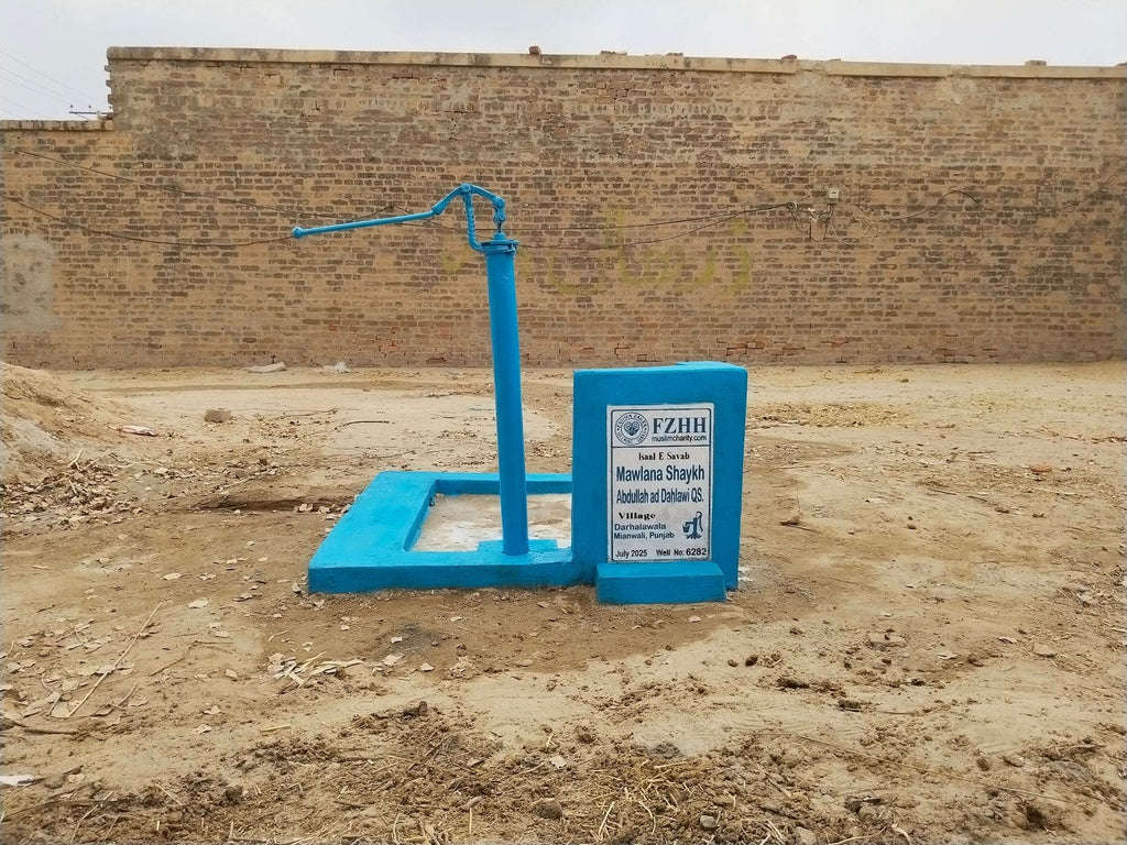 Mawlana Shaykh Abdullah ad Dahlawi Qs. - Order no. PAK  - Well no. 6282