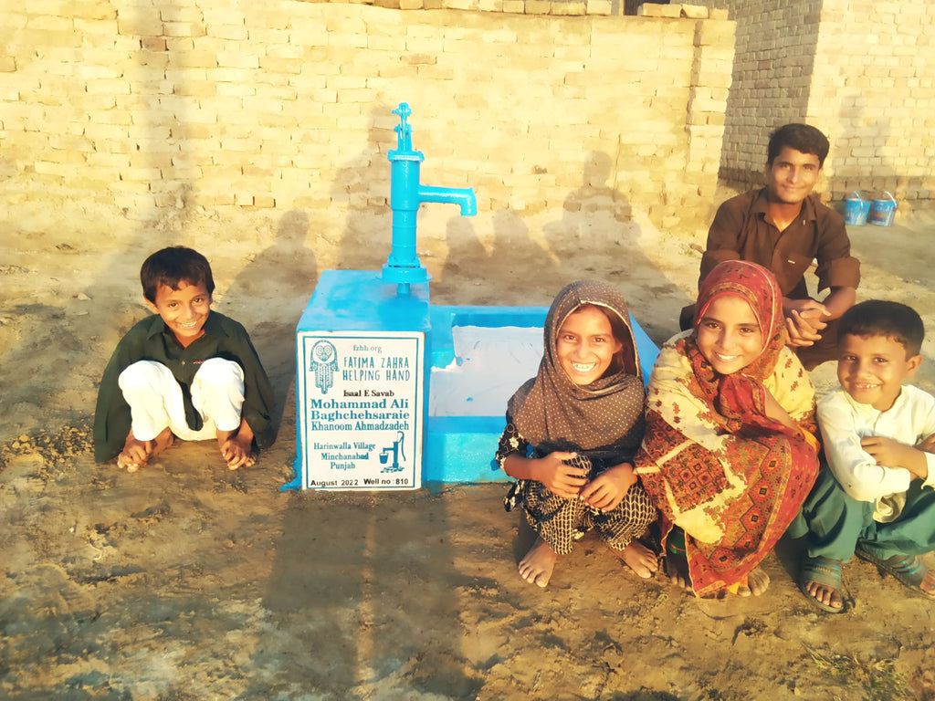 Punjab, Pakistan – Mohammad Ali Baghchehsaraie , Khanoom Ahmadzadeh – FZHH Water Well# 810