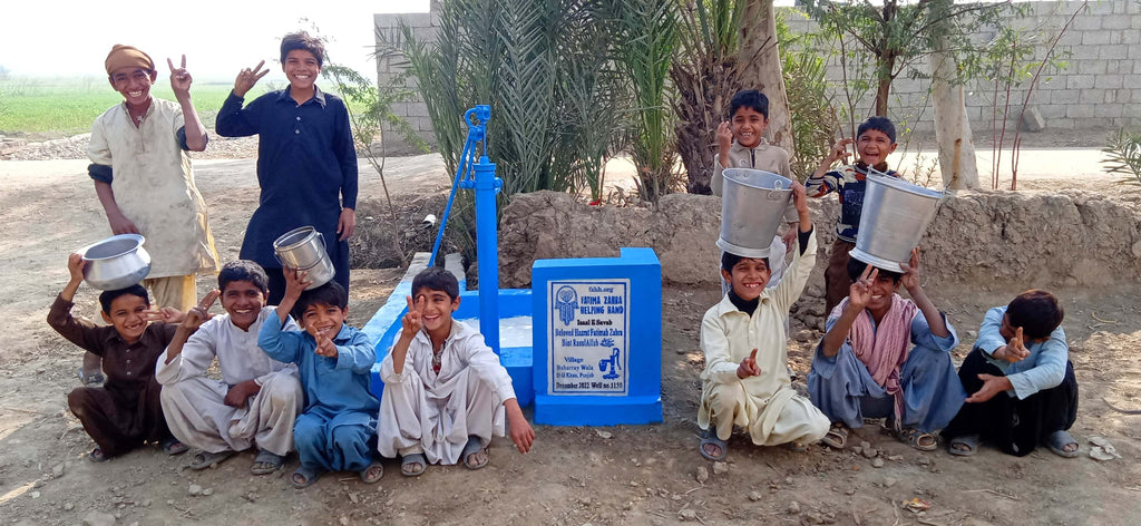 Punjab, Pakistan – Beloved Hazrat Fatimah Zahra bint RasulAllah ﷺ – FZHH Water Well# 1150
