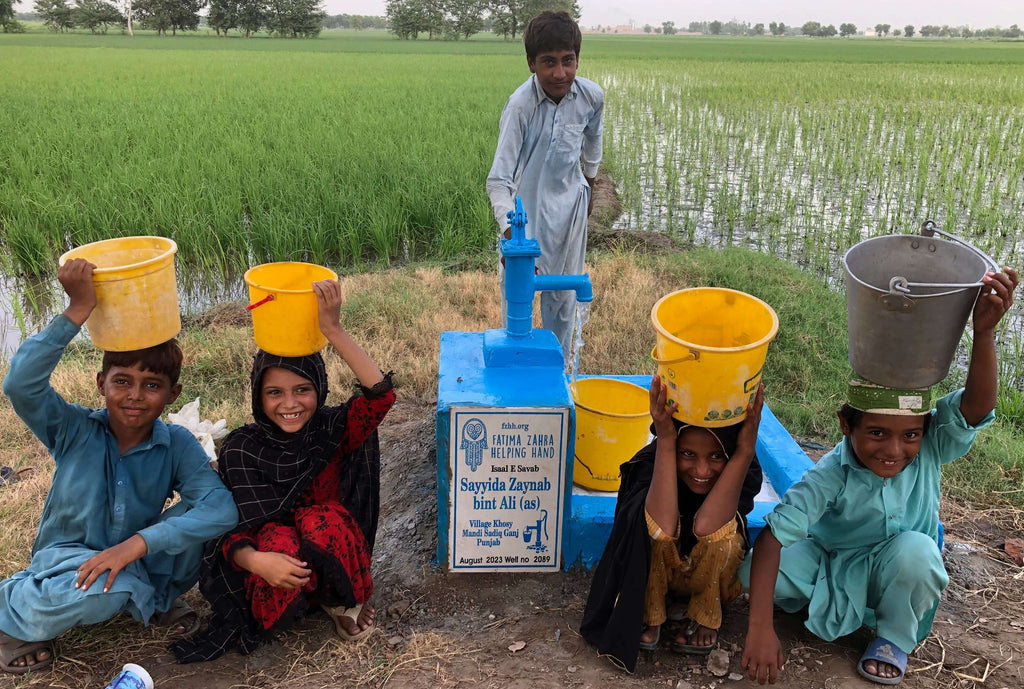 Punjab, Pakistan – Sayyida Zaynab bint Ali (AS) – FZHH Water Well# 2089