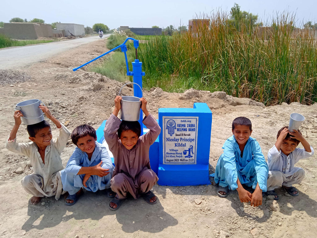 Punjab, Pakistan – Nicolay Principe Kildal – FZHH Water Well# 2137