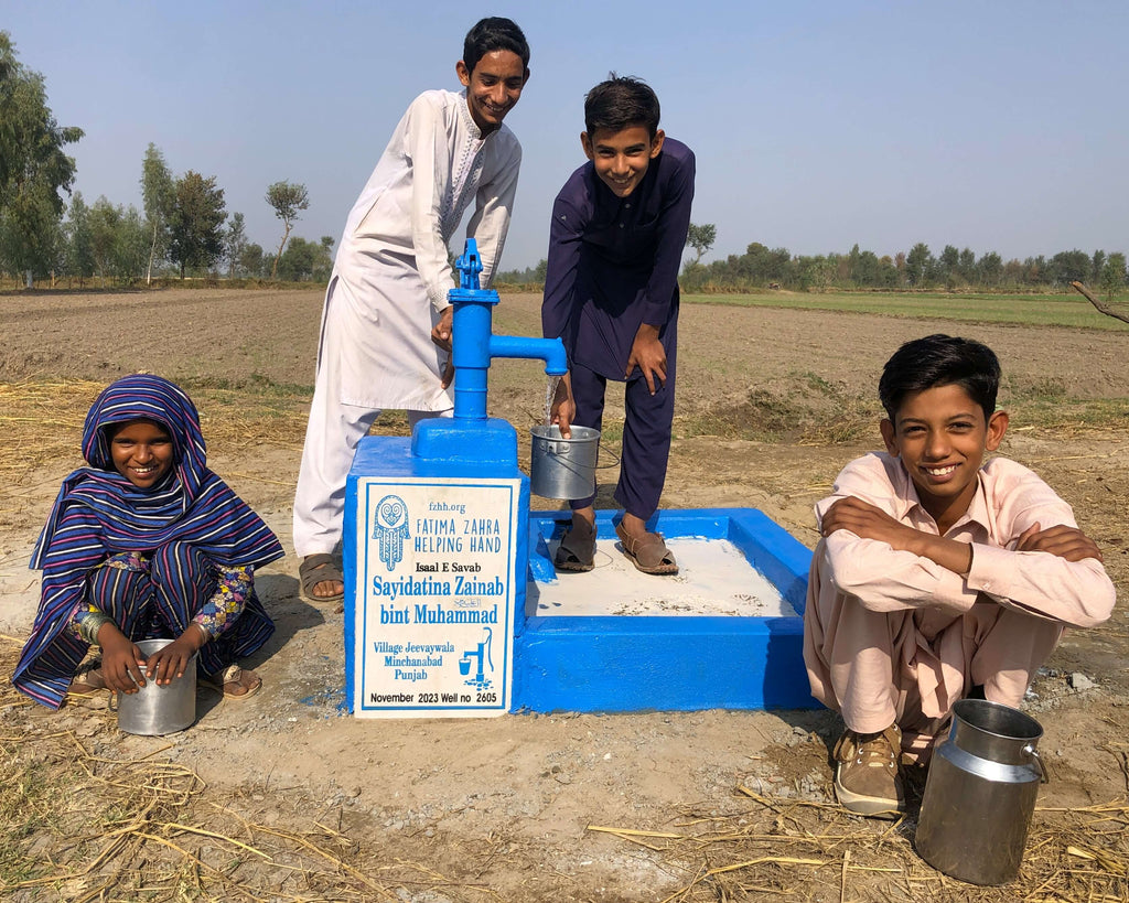 Punjab, Pakistan – Sayidatina Zainab bint Muhammad عليه السلام – FZHH Water Well# 2605