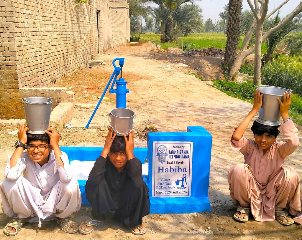 Punjab, Pakistan – Habiba – FZHH Water Well# 3224