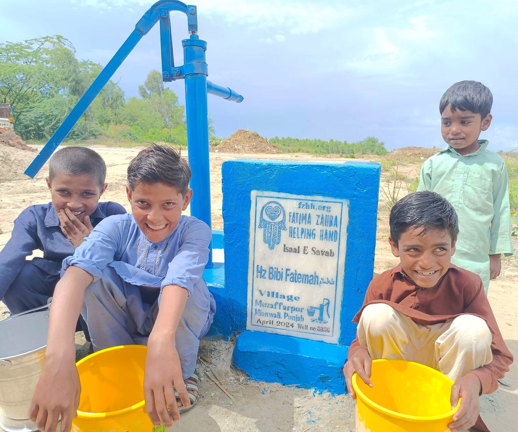 Punjab, Pakistan – Hz Bibi Fatemah عليه السلام – FZHH Water Well# 3356