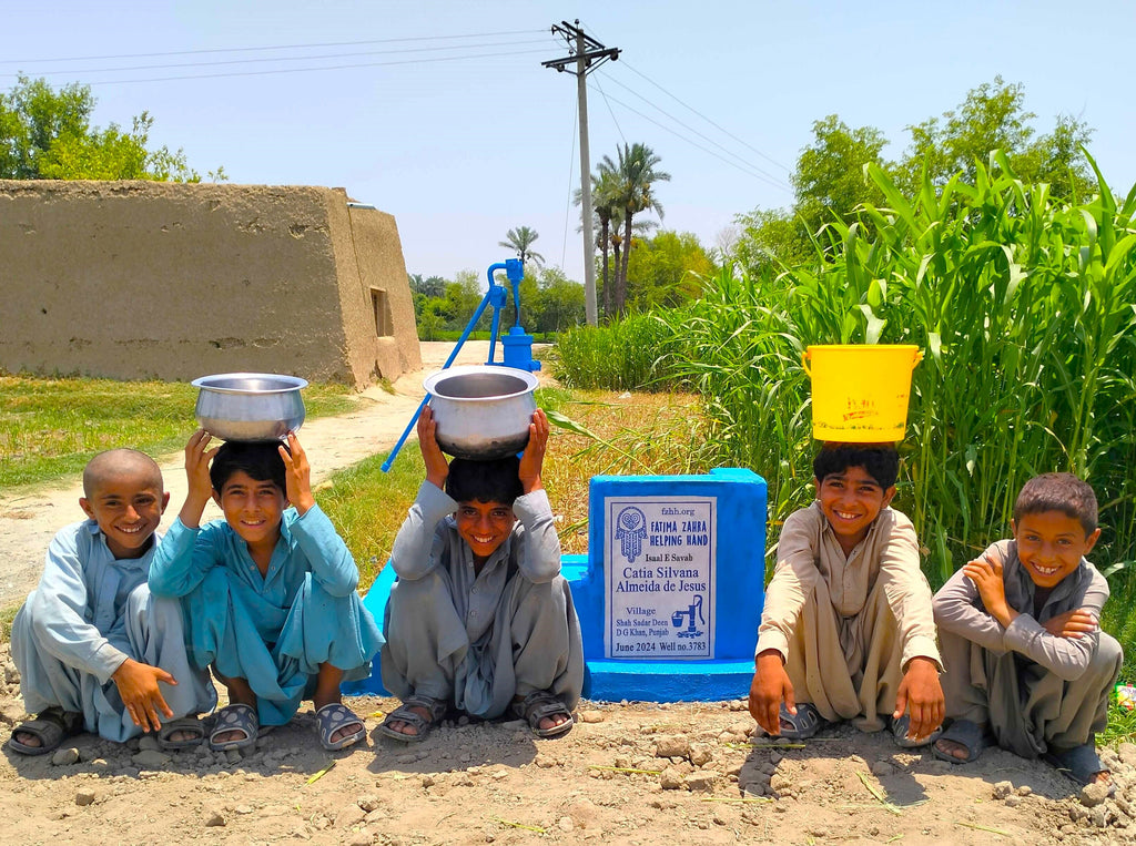 Punjab, Pakistan – Catia Silvana Almeida de Jesus – FZHH Water Well# 3783