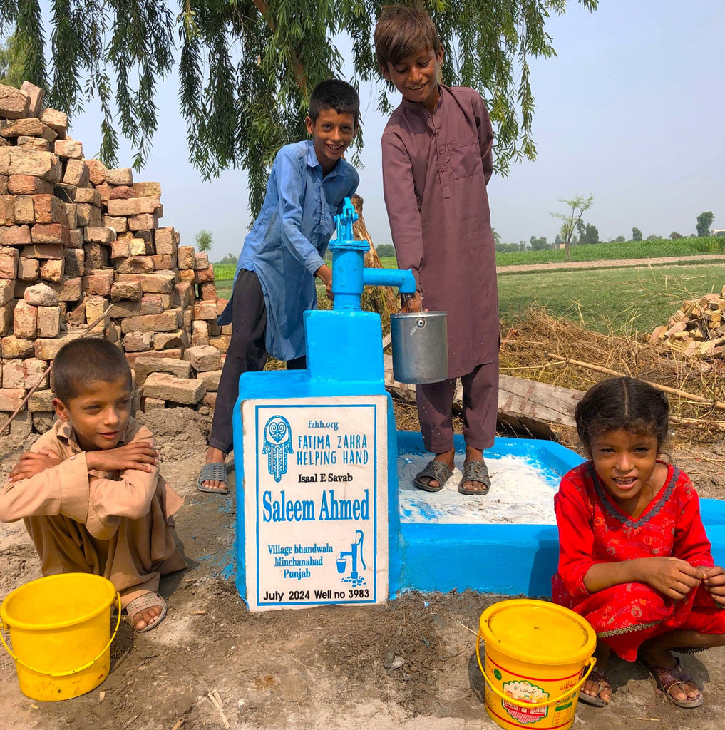 Punjab, Pakistan – Saleem Ahmed – FZHH Water Well# 3983