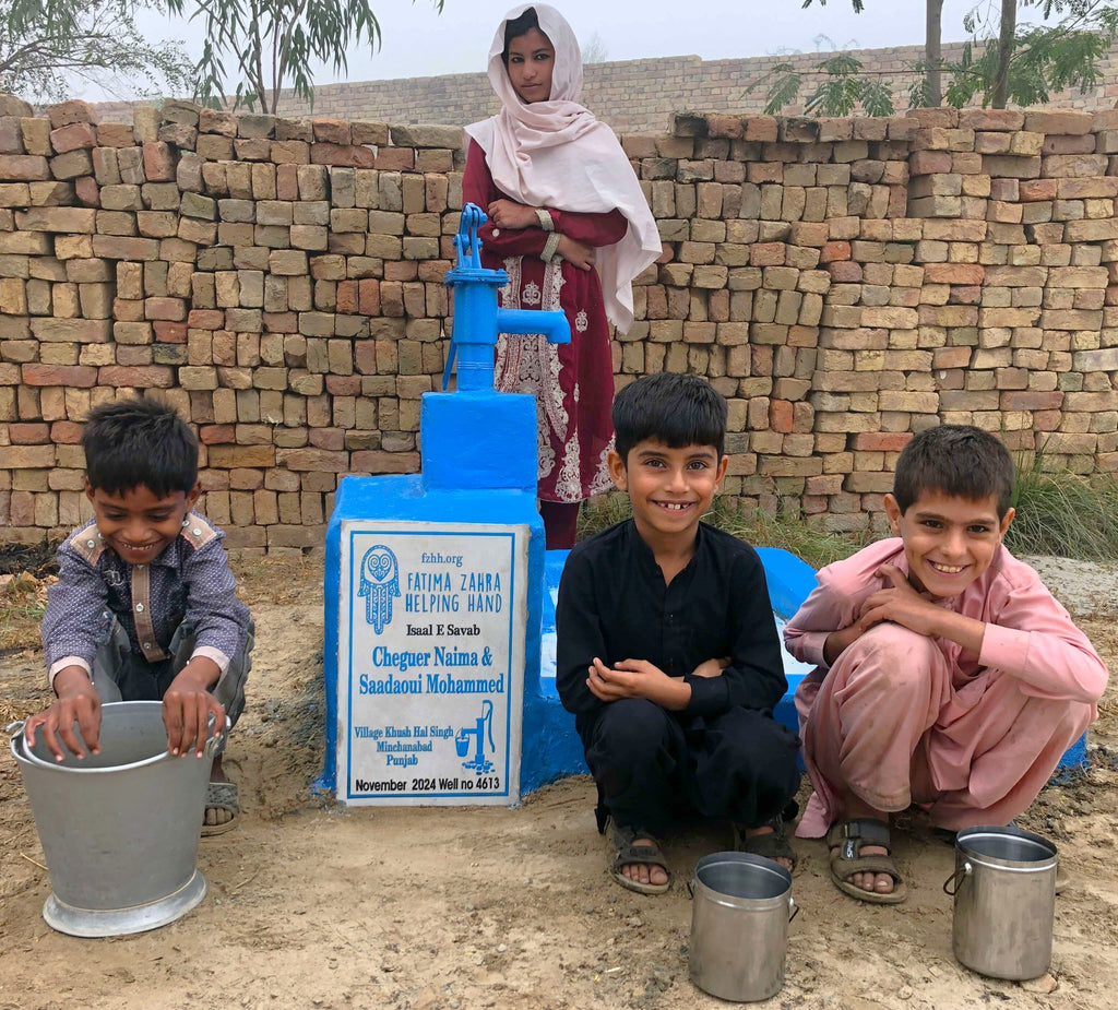 Punjab, Pakistan – Cheguer Naima & Saadaoui Mohammed – FZHH Water Well# 4613