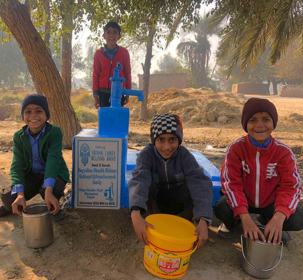 Punjab, Pakistan – Sayyidina Shaykh Hisham Kabbani (Q) from Sarameh Family – FZHH Water Well# 4876 Order no 51939