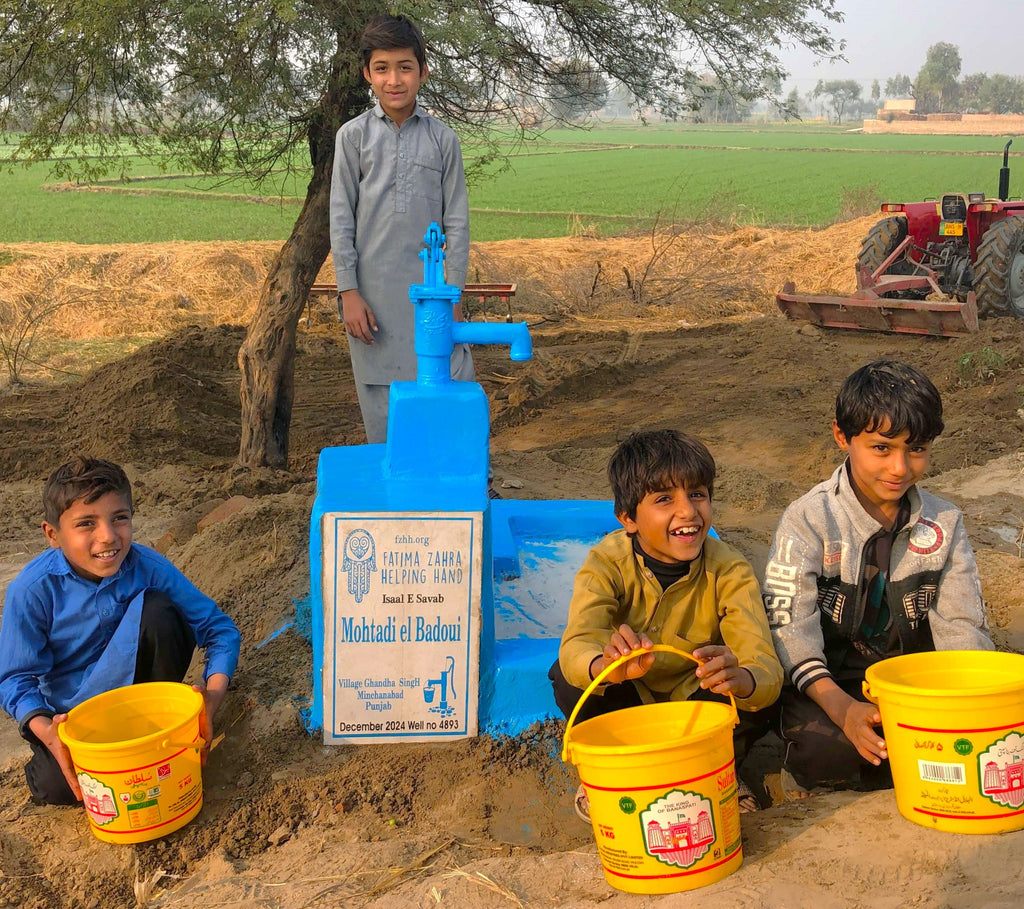 Punjab, Pakistan – Mohtadi el Badoui – FZHH Water Well# 4893 Order no 52165