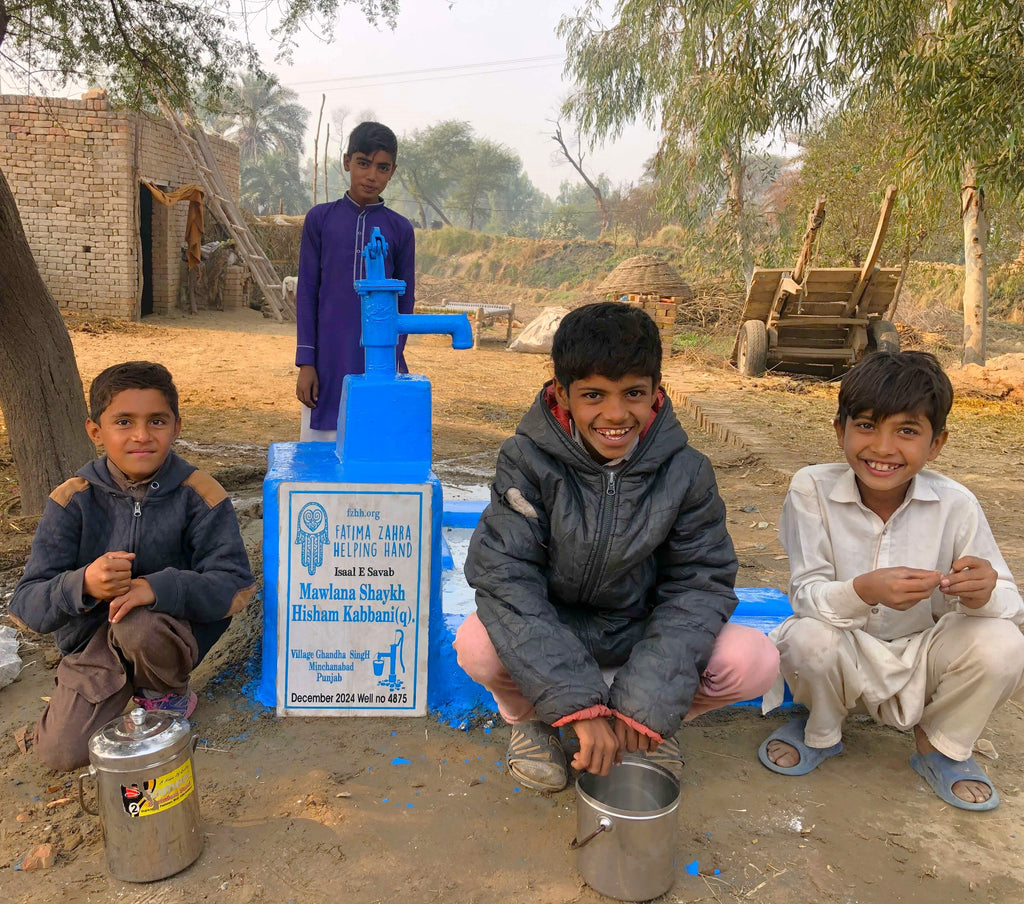 Punjab, Pakistan – Mawlana Shaykh Hisham Kabbani (Q) – FZHH Water Well# 4875 Order no 36734