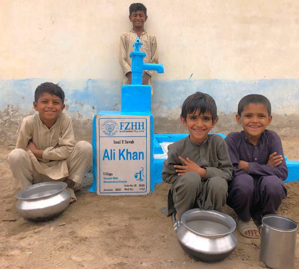 Punjab, Pakistan – Ali Khan – US Order no. 55426 - Well no. 5192