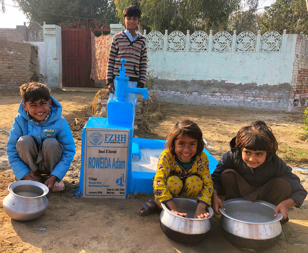 Punjab, Pakistan – ROWEIDA Adam – CA Order no. 37792 - Well no. 5032