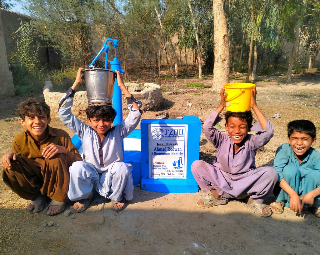 Punjab, Pakistan – Ahmad Redwan Ghannoum Family – US Order no. 56454 - Well no. 5241
