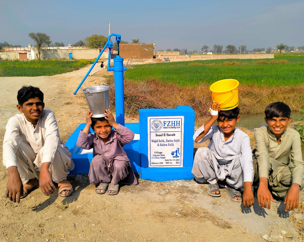 Punjab, Pakistan – Wajid Salik, Zarina Salik & Salma Salik – US Order no. 56035 - Well no. 5223