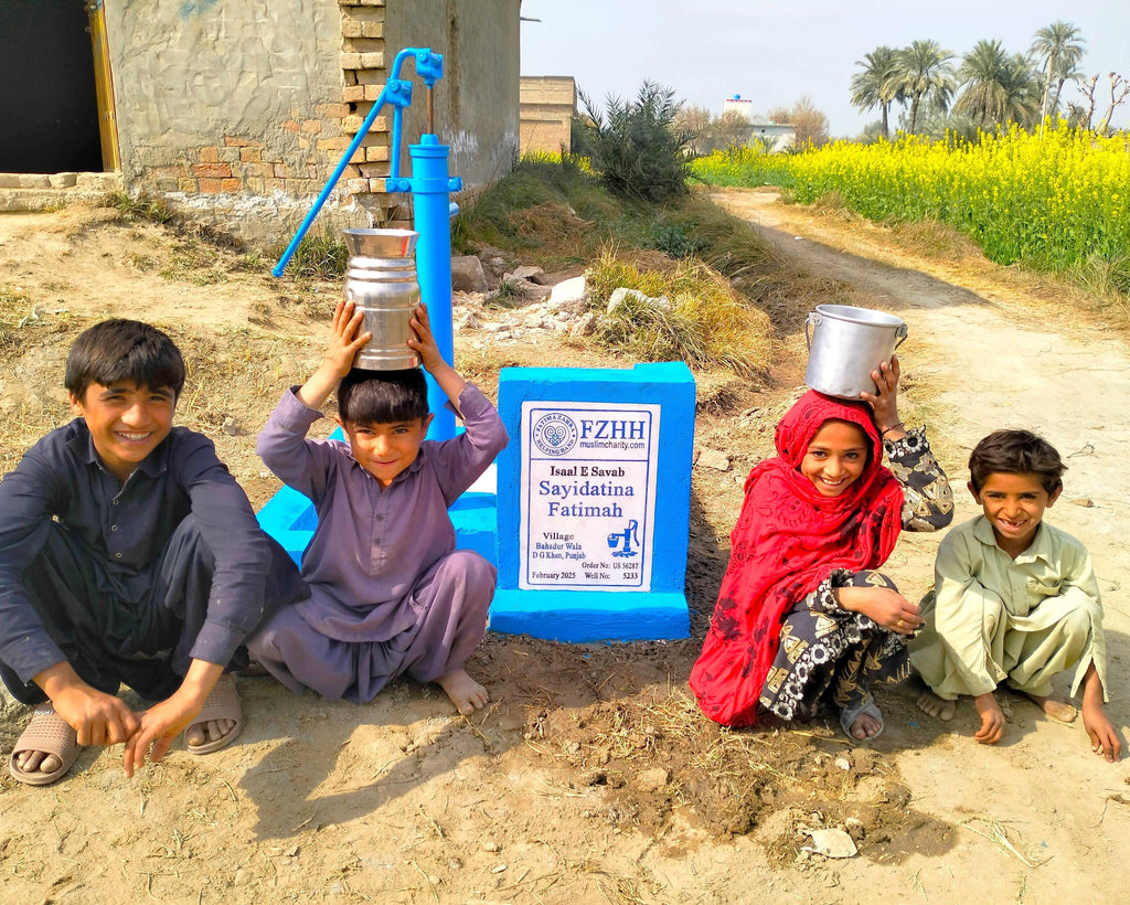 Punjab, Pakistan – Sayidatina Fatimah – US Order no. 56287 - Well no. 5233