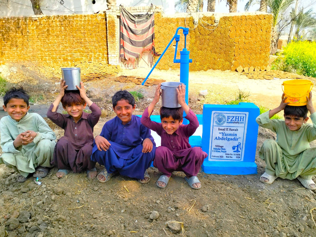 Punjab, Pakistan – Yasmin Abdelgadir – US Order no. 56186 - Well no. 5229