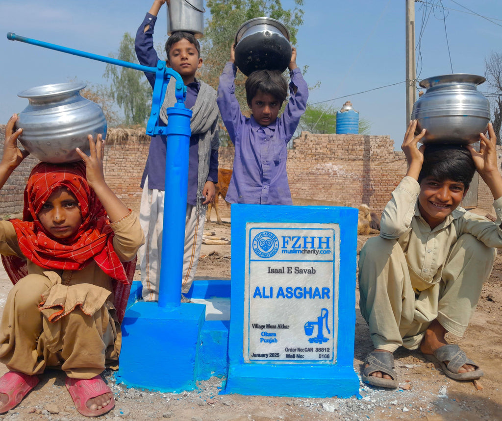 Punjab, Pakistan – ALI ASGHAR – CA Order no. 38812 - Well no. 5166
