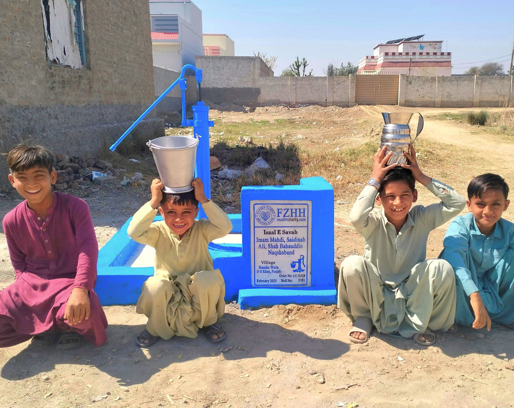Punjab, Pakistan – Imam Mahdi, Saidinah Ali, Shah Bahauddin Naqshaband – US Order no. 58324 - Well no. 5381