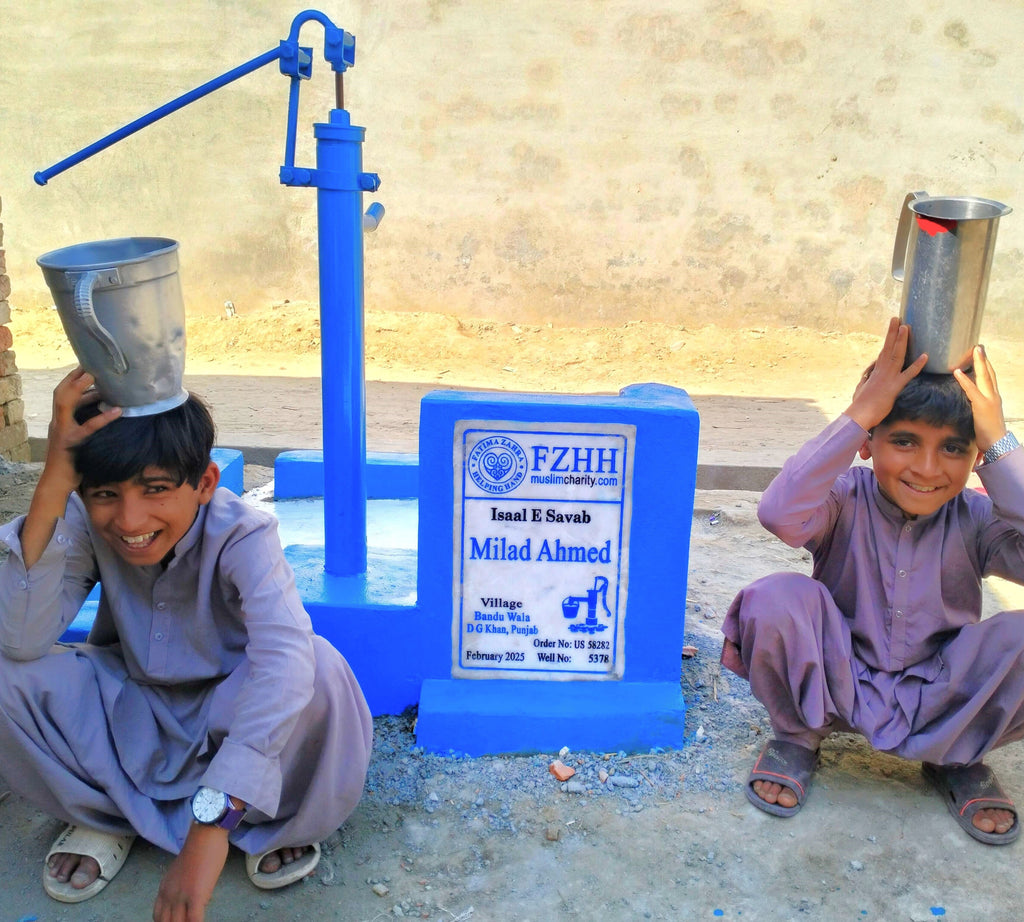 Punjab, Pakistan – Milad Ahmed – US Order no. 58282 - Well no. 5378