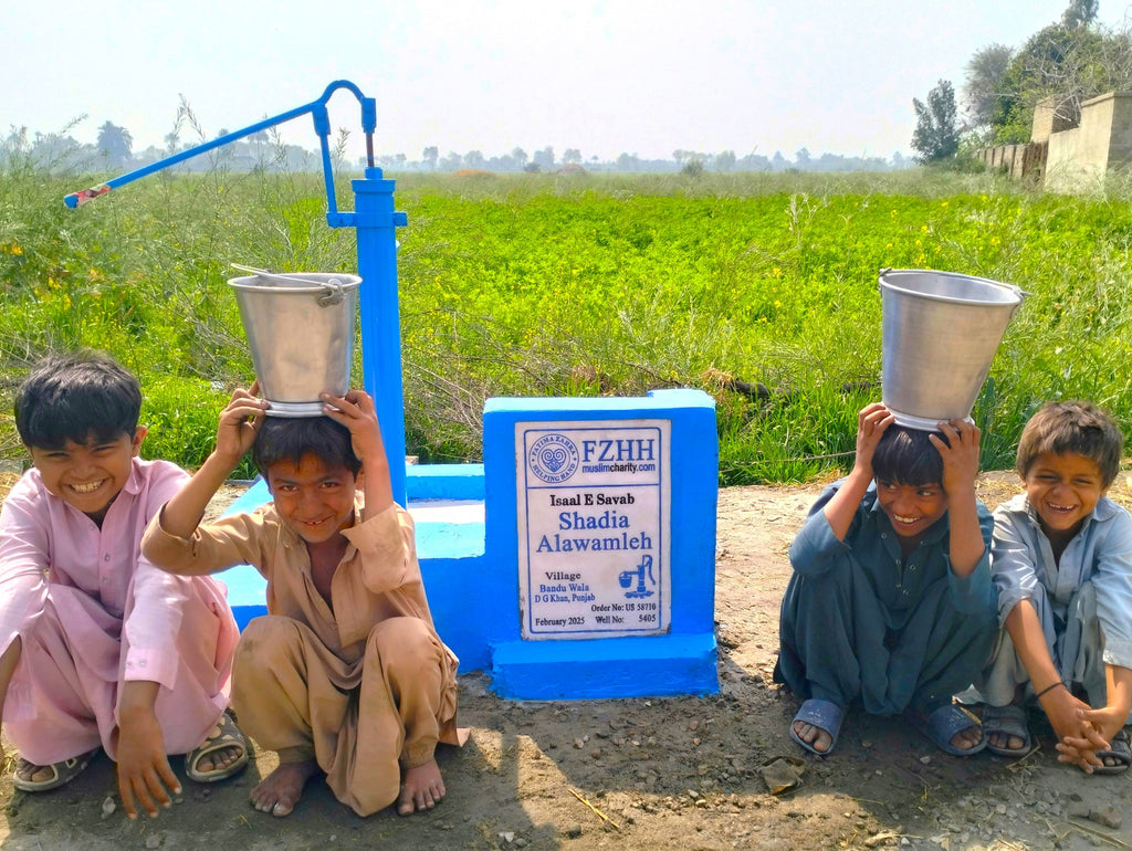 Punjab, Pakistan – Shadia Alawamleh – US Order no. 58710 - Well no. 5405
