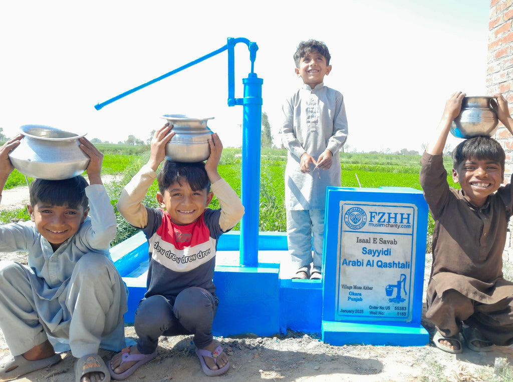 Punjab, Pakistan – Sayyidi Arabi al Qashtali – US Order no. 55383 - Well no. 5183