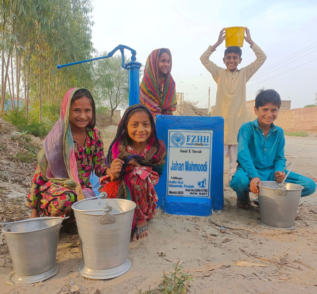 Punjab, Pakistan – Jahan Mahmoodi – CA Order no. 41785 - Well no. 5487