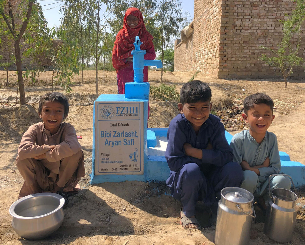 Punjab, Pakistan – Bibi Zarlasht, Aryan Safi – US Order no. 61051 - Well no. 5532