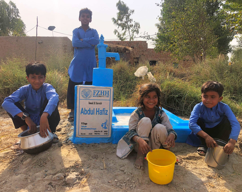 Punjab, Pakistan – Abdul Hafiz – CA Order no. 34923 - Well no. 5782