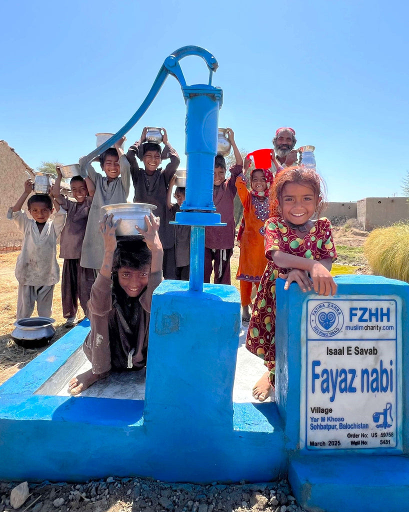 Balochistan, Pakistan – Fayaz Nabi - US Order no. 59758 - Well no. 5431