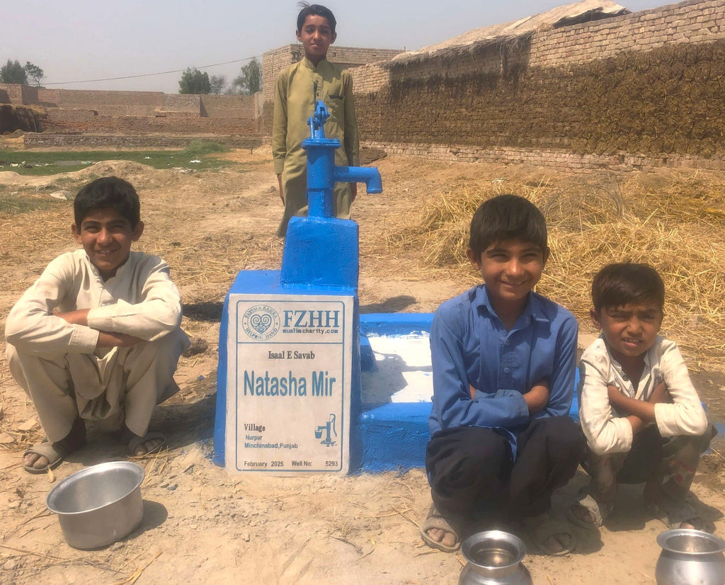 Punjab, Pakistan – Natasha Mir – Well no. 5293