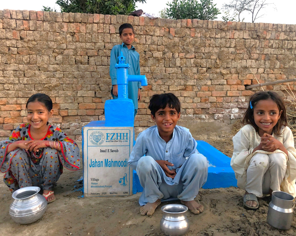 Punjab, Pakistan – Jahan Mahmoodi – Well no. 5299