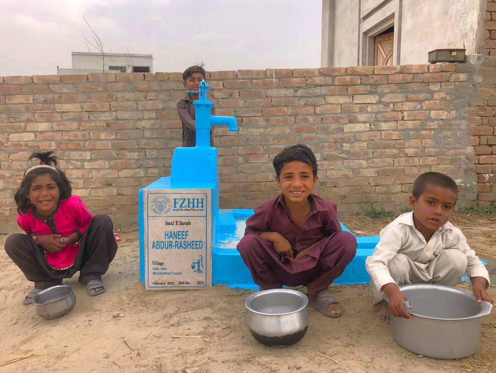 Punjab, Pakistan – HANEEF ABDUR-RASHEED – Well no. 5273