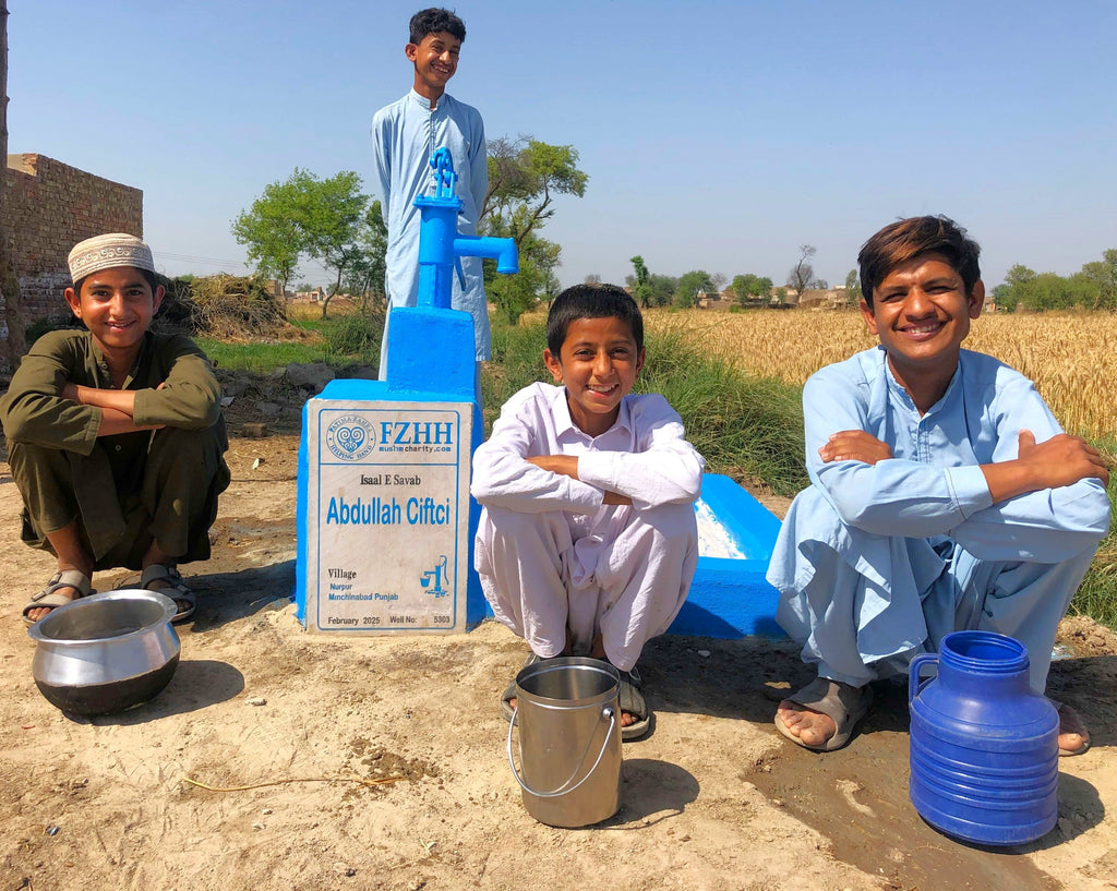 Punjab, Pakistan – Abdullah Ciftci – Well no. 5303