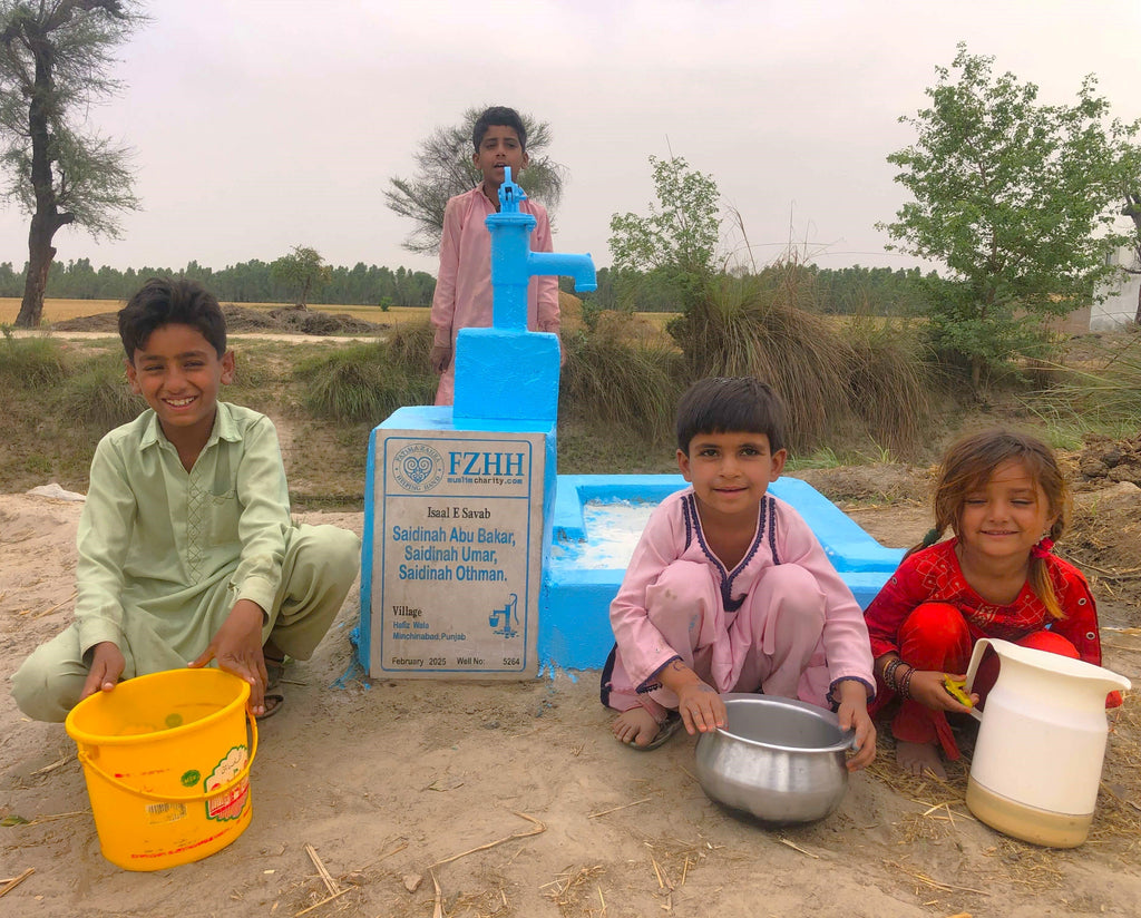 Punjab, Pakistan – Saidinah Abu Bakar, Saidinah Umar, Saidinah Othman – Well no. 5264