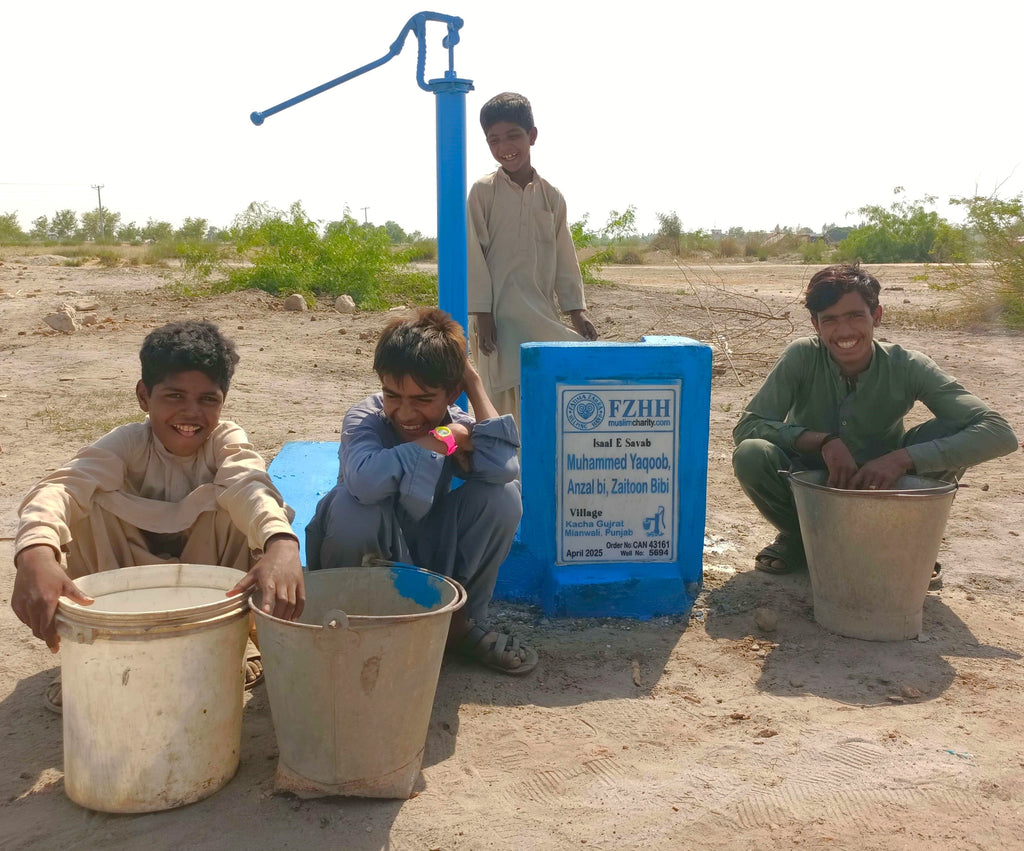 Punjab, Pakistan – Muhammed Yaqoob, Anzal bi, Zaitoon Bibi – CA Order no. 43161 - Well no. 5694