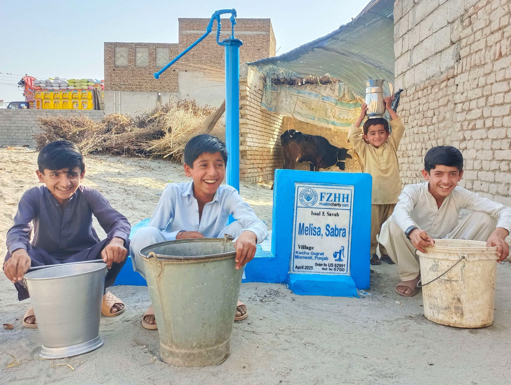 Punjab, Pakistan – Melisa, Sabra – US Order no. 62991 - Well no. 5700