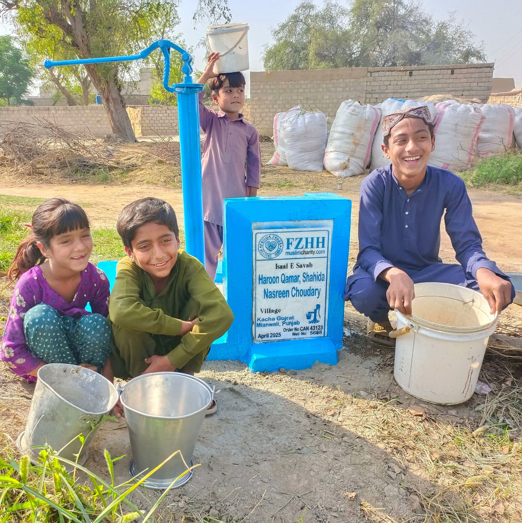 Punjab, Pakistan – Haroon Qamar, Shahida Nasreen Choudary – CA Order no. 43123 - Well no. 5688
