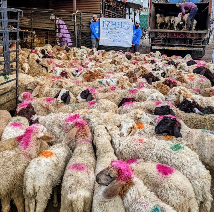 Hyderabad, India - Participating in Holy Qurbani Program & Mobile Food Rescue Program by Getting Holy Qurbans Ready for Eid al Adha Distribution to Homeless & Less Privileged People