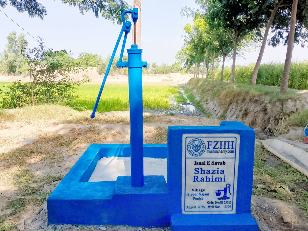 Shazia Rahimi - Order no. US 75587 - Well no. 6379