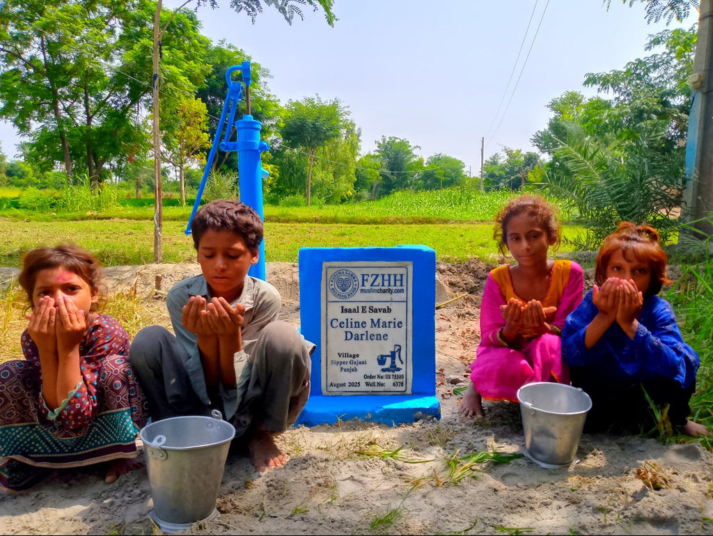 celine marie darlene - Order no. US 75580 - Well no. 6378