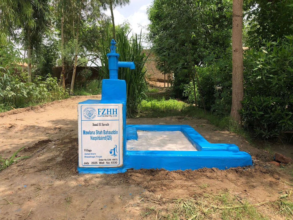 Mawlana Shah Bahauddin Naqshband (QS) - Order no. CAN 49072 - Well no. 6330