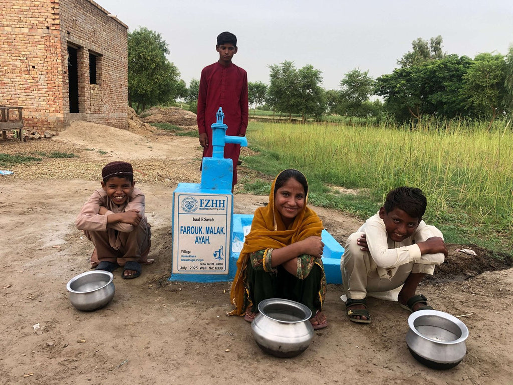 FAROUK. MALAK. AYAH. - Order no. US 74088 - Well no. 6339