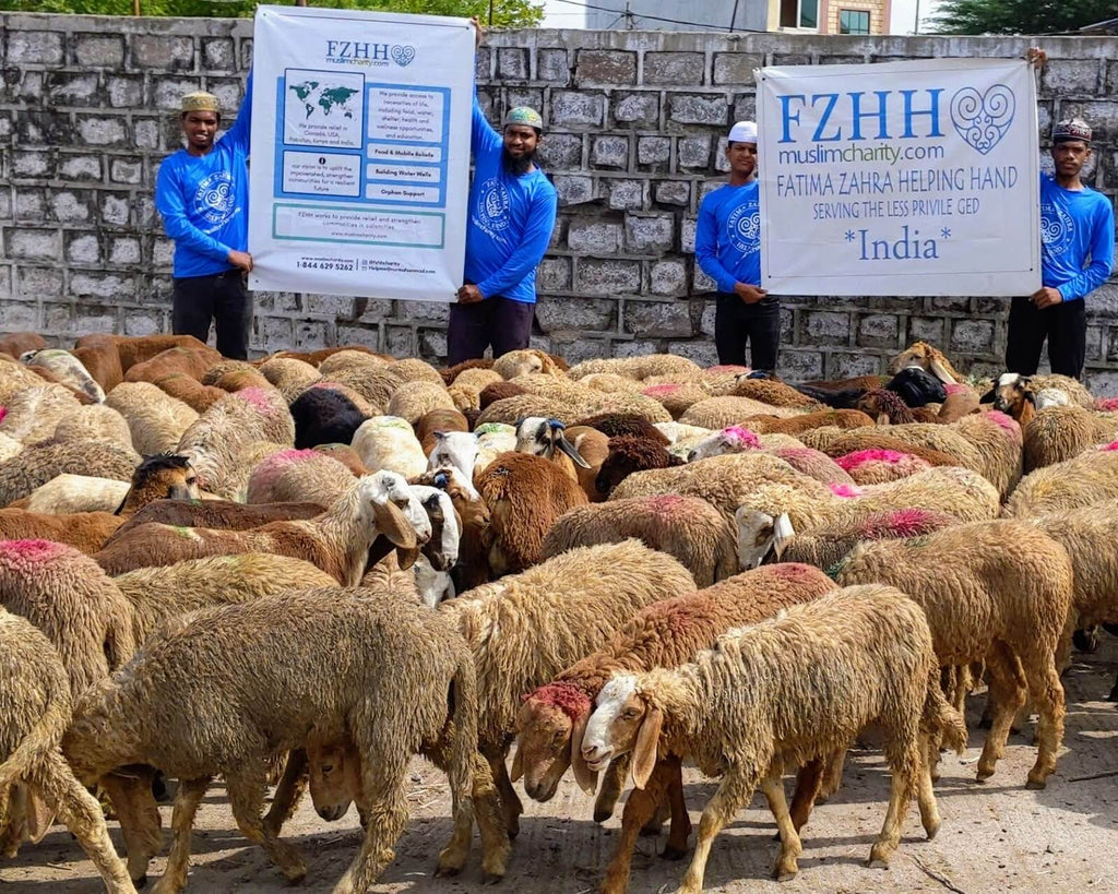 Hyderabad, India - Participating in Holy Qurbani Program & Mobile Food Rescue Program by Picking & Purchasing Holy Qurbans for Eid al Adha Processing & Distribution to Homeless & Less Privileged Families