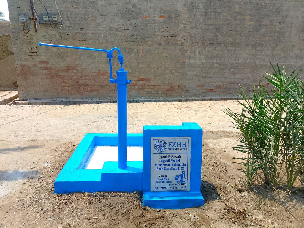 Sayyidi Shakyh Muhammad Bahauddin Shah Naqshband (Q) - Order no. CAN 48855 - Well no. 6316