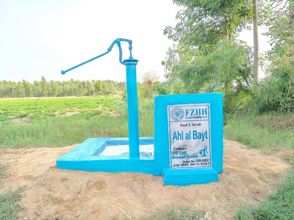 Ahl al Bayt - Order no. CAN 48681 - Well no. 6287