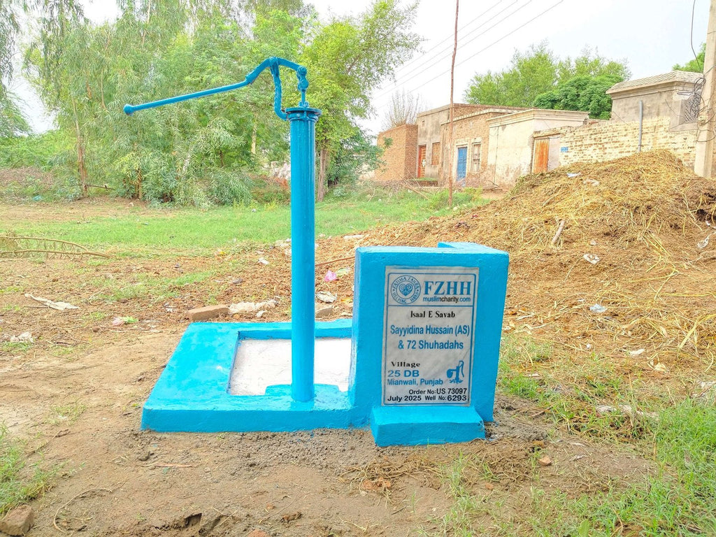 Sayyidina Hussain (as) & 72 Shuhadahs - Order no. US 73097 - Well no. 6293