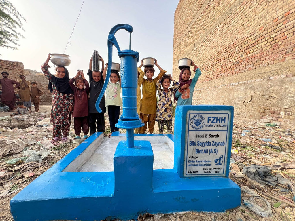 Bibi Sayyida Zaynab Bint Ali A.S - Order no. CAN 48524 - Well no. 6263