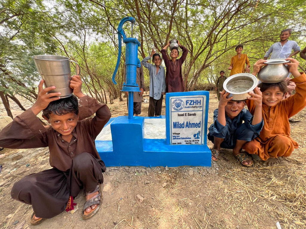 Milad Ahmed - Order no. US 70736 - Well no. 6171